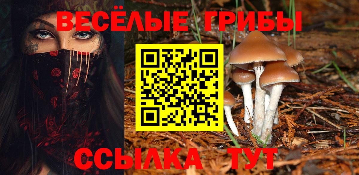 Галлюциногенные грибы Psilocybine cubensis  Вход с VPN  Холмск 